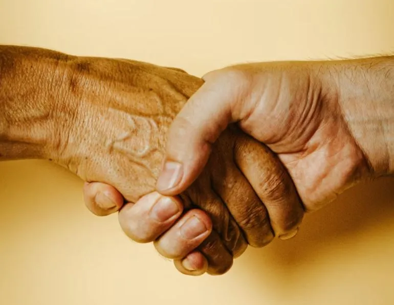 Fair hammocks Faire Hängematten